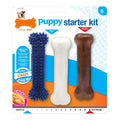 Hundekauspielzeug Nylabone Extreme Chew Starter Kit Welpen Huhn Nylon Thermoplast (3 Stück)