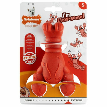 Dog toy Nylabone Red Beef Artificial S