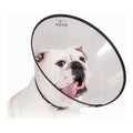 Elizabethan Dog Collar KVP Saf-T-Clear Transparent (30-76 cm)