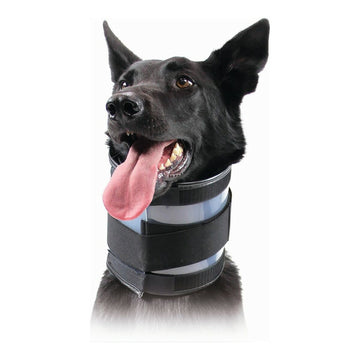 Halskrause für Hunde KVP Schwarz (10-41 cm)