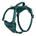 Dog Harness Company of Animals Turquoise S 28-42 cm