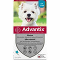 Anti-parasites Advantix Dog 4-10 kg 6 Units