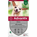 Advantix-Pipette für Flaschen, 1,5–4 kg