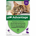 Antiparasiten Advantage 2125