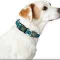 Hundehalsband Hunter Basic Thread Blue 20