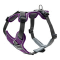 Dog Harness Hunter Divo 52-68 cm Purple Size S/M