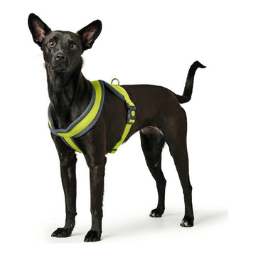 Hundegeschirr Hunter London Comfort XS-S 39-47 cm Limette