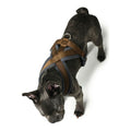 Hundegeschirr Hunter London Comfort XS-S 39-47 cm Braun