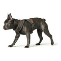 Hundegeschirr Hunter London Comfort 52-62 cm Braun Größe S/M