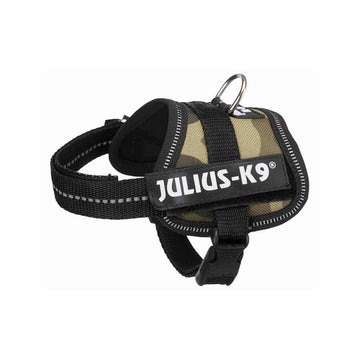 Schweineschinken Julius K9 1 Baby 1 (XS)