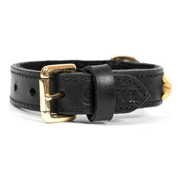 Dog collar Gloria Duna Black Golden (50 x 2,5 cm)