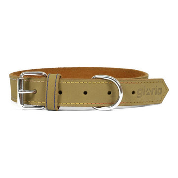 Hundehalsband Gloria Oasis Grün (35 x 1,2 cm)