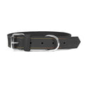 Hundehalsband Gloria Oasis Schwarz (1,5 x 40 cm)