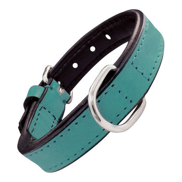 Guler pentru câine Gloria Padded Turquoise (30 x 1,5 cm)