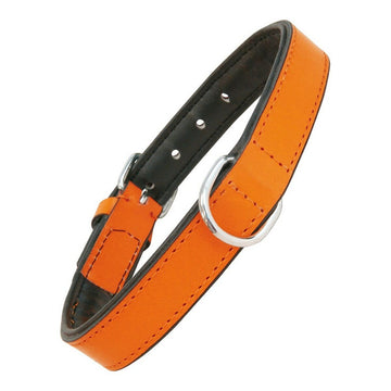 Guler pentru câini Gloria Padded Orange (40 x 2 cm)