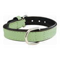 Guler pentru câini Gloria Padded Green (30 x 1,5 cm)