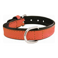 Hundehalsband Gloria Padded Coral (30 x 1,5 cm)