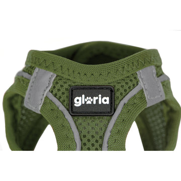 Schinken pentru câini Gloria 24,5-26 cm Verde 18-20 cm