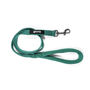 Dog Lead Gloria Turquoise S