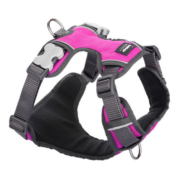 Hundegeschirr Red Dingo Padded Fuchsia Größe S