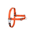 Dog Harness Red Dingo 36-50 cm Orange S