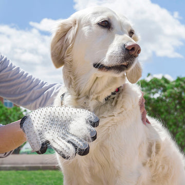 Perie pentru animale de companie și mănușă de masaj Relpet InnovaGoods