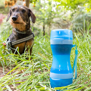 2-in-1 bottle with water and food containers for pets Pettap InnovaGoods